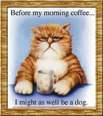 catb4coffee.jpg
